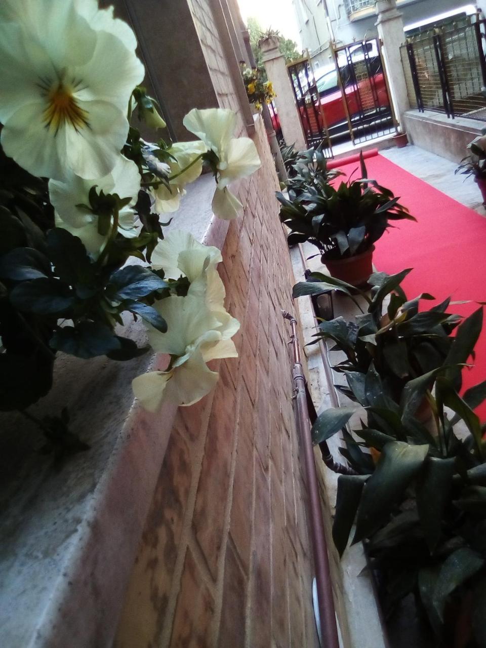 Officina Urban Sleep Bed & Breakfast San Benedetto del Tronto Ngoại thất bức ảnh