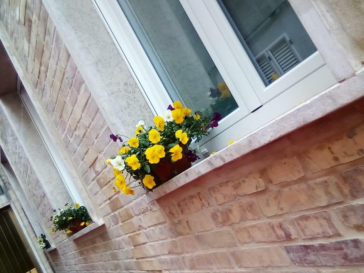 Officina Urban Sleep Bed & Breakfast San Benedetto del Tronto Ngoại thất bức ảnh